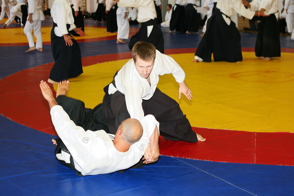 aikido-koinobori-july-15-2013-2
