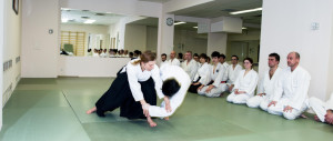 Выступление участников открытого мастер класса по айкидо