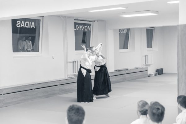 Lithuania Seminar 1120171